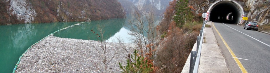 1-DSC_0179-925x250