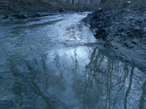 Pilica usce u drinu